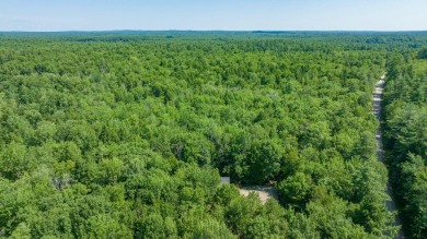 Lake Acreage For Sale in Hollis, Maine