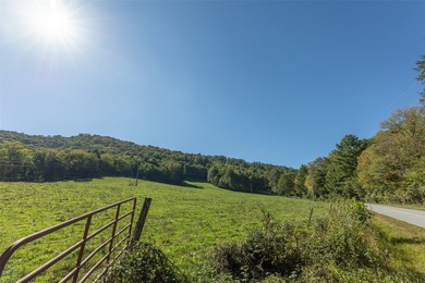 Mountain Paradise Awaits: 210+ Unrestricted Acres with Endless - photo 42