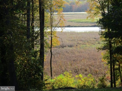 (private lake, pond, coastal) Acreage For Sale in Elkton Maryland