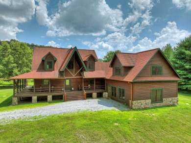 Lake Home For Sale in Mineral Bluff, Georgia