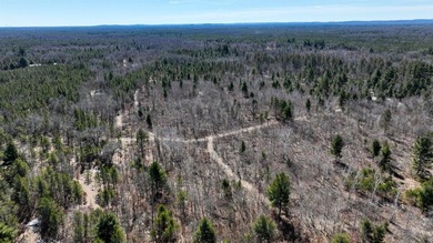 This 175+/- acres outside New Lisbon in Juneau County offers a - photo 1