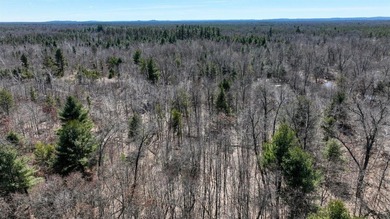 This 175+/- acres outside New Lisbon in Juneau County offers a - photo 2