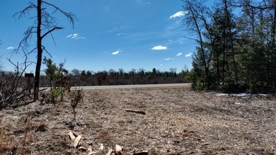 This 175+/- acres outside New Lisbon in Juneau County offers a - photo 4