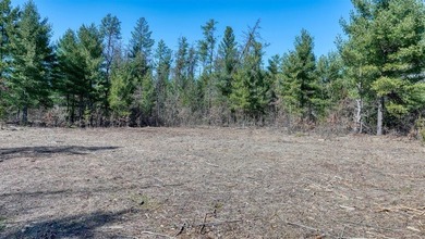 This 175+/- acres outside New Lisbon in Juneau County offers a - photo 6