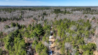 This 175+/- acres outside New Lisbon in Juneau County offers a - photo 9