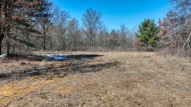 This 175+/- acres outside New Lisbon in Juneau County offers a - photo 10