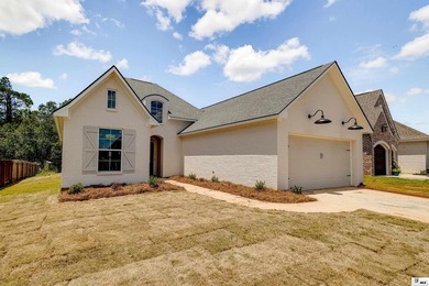 New construction in Alexander's Cove on Bella Vista Loop! This 4 - photo 3
