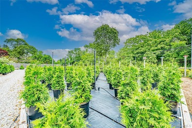 This well-known North Shore Long Island Landmark Plant Nursery & - photo 14