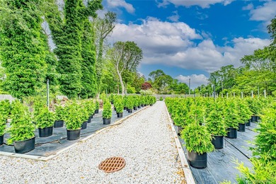 This well-known North Shore Long Island Landmark Plant Nursery & - photo 15