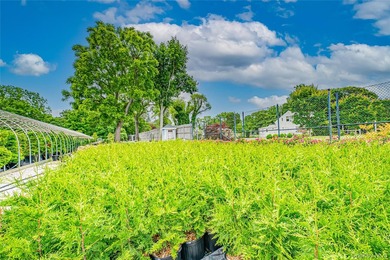 This well-known North Shore Long Island Landmark Plant Nursery & - photo 16