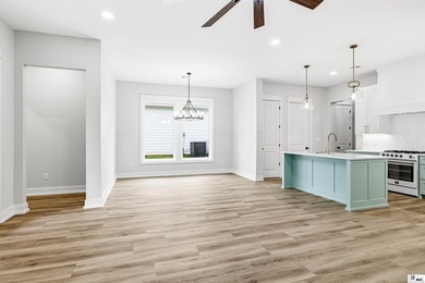 New construction in Alexander's Cove on Bella Vista Loop! This 4 - photo 8