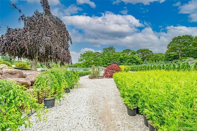 This well-known North Shore Long Island Landmark Plant Nursery & - photo 19