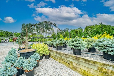 This well-known North Shore Long Island Landmark Plant Nursery & - photo 24
