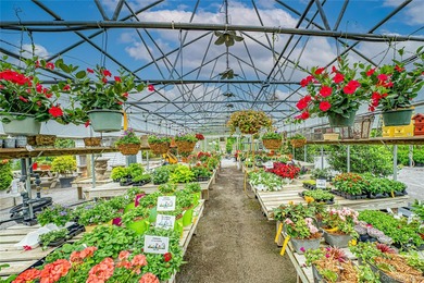 This well-known North Shore Long Island Landmark Plant Nursery & - photo 36