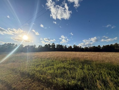 LAKE MALONE! Beautiful 1 +/- acre building lot at Lake Malone! - photo 3