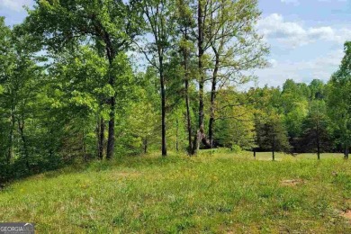 Lake Lot For Sale in Toccoa, Georgia