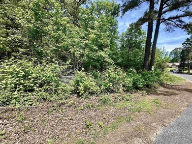 Beautiful, corner lot with views of Lake Catherine! Almost 1 - photo 2