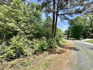 Beautiful, corner lot with views of Lake Catherine! Almost 1 - photo 7