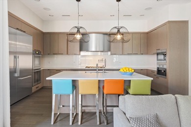 This full floor, luxury Bucktown home is truly one of a kind