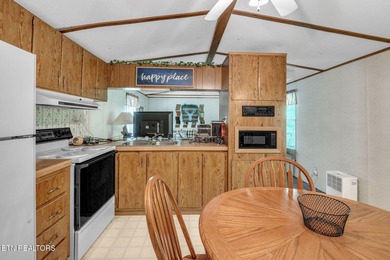 Lake Retreat with Views and Water Access - 237 Blue Ridge Road - photo 11