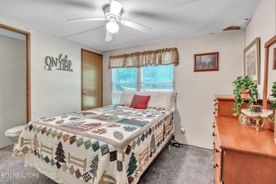Lake Retreat with Views and Water Access - 237 Blue Ridge Road - photo 12