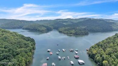 Lake Retreat with Views and Water Access - 237 Blue Ridge Road - photo 19