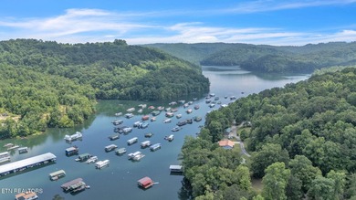Lake Retreat with Views and Water Access - 237 Blue Ridge Road - photo 20