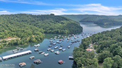 Lake Retreat with Views and Water Access - 237 Blue Ridge Road - photo 21