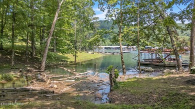 Lake Retreat with Views and Water Access - 237 Blue Ridge Road - photo 22