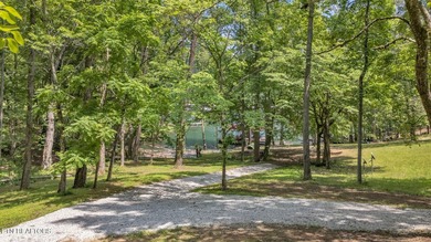 Lake Retreat with Views and Water Access - 237 Blue Ridge Road - photo 23