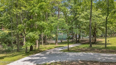 Lake Retreat with Views and Water Access - 237 Blue Ridge Road - photo 24