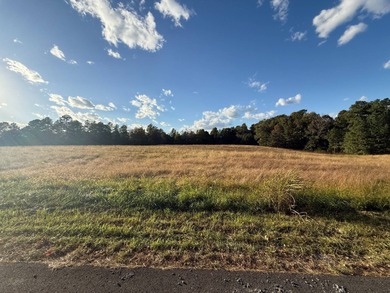 Lake Malone Lot For Sale in Lewisburg Kentucky