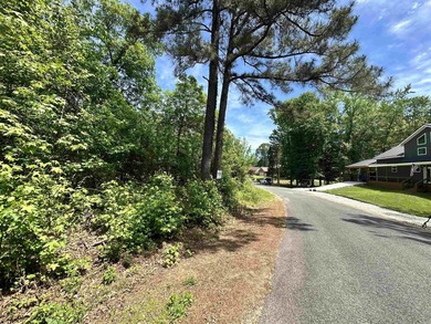Beautiful, corner lot with views of Lake Catherine! Wooded land - photo 1