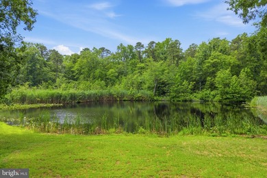Includes Lot 01-00063-00041-QFARM 34.43 acres Welcome to 264 - photo 4