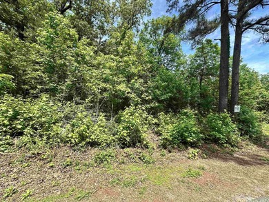 Beautiful, corner lot with views of Lake Catherine! Wooded land - photo 8