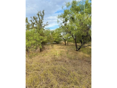 Lake Brownwood Lot For Sale in Brownwood Texas