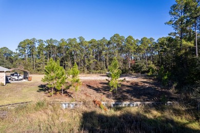 This wooded homesite provides a natural setting with mature - photo 13