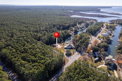 This wooded homesite provides a natural setting with mature - photo 30