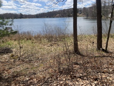 Thunder Lake Lot For Sale in Fountain Michigan