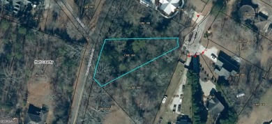 Lake Lot For Sale in Lavonia, Georgia