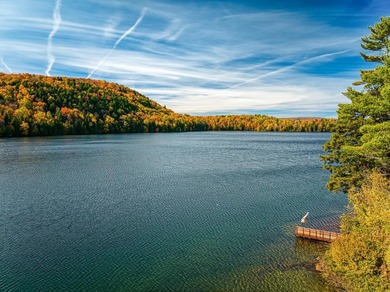 Nichee sur les rives d'un lac prive, accessible a seulement 12 - photo 4