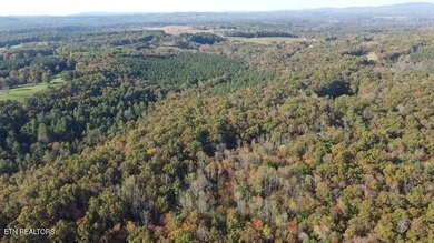 (private lake, pond, creek) Acreage For Sale in Grandview Tennessee