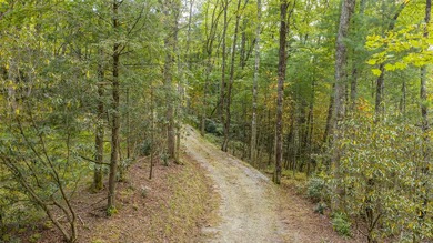 Welcome to Farm Estate Lot 3 at Silver Run Reserve, a rare - photo 26