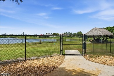 SANDOVAL POOL HOME WITH OVERSIZED SCREENED LANAI, SPA, 3 CAR - photo 46