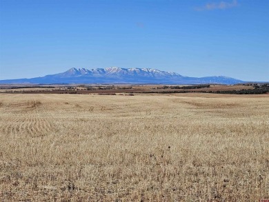  Acreage For Sale in Dove Creek Colorado