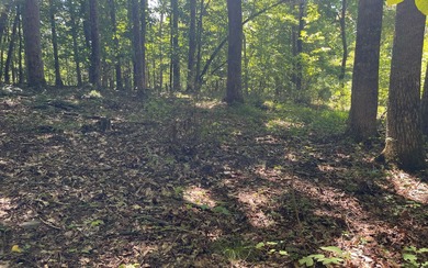 This beautiful lot with a great building site is located in - photo 3