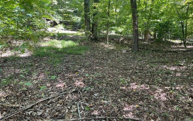 This beautiful lot with a great building site is located in - photo 4