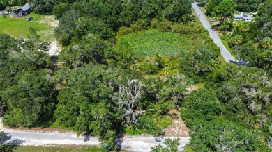 Lake Rousseau Acreage For Sale in Crystal River Florida