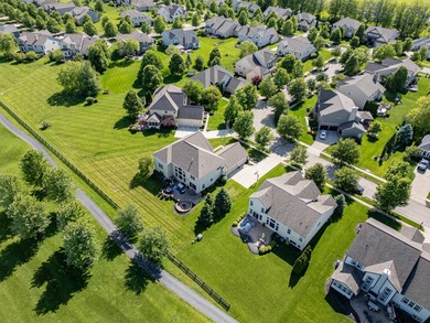 Welcome home to this fabulous 5-Level Split located in the - photo 10