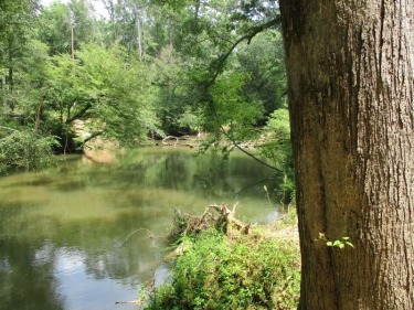 Soque River Acreage For Sale in Clarkesville Georgia